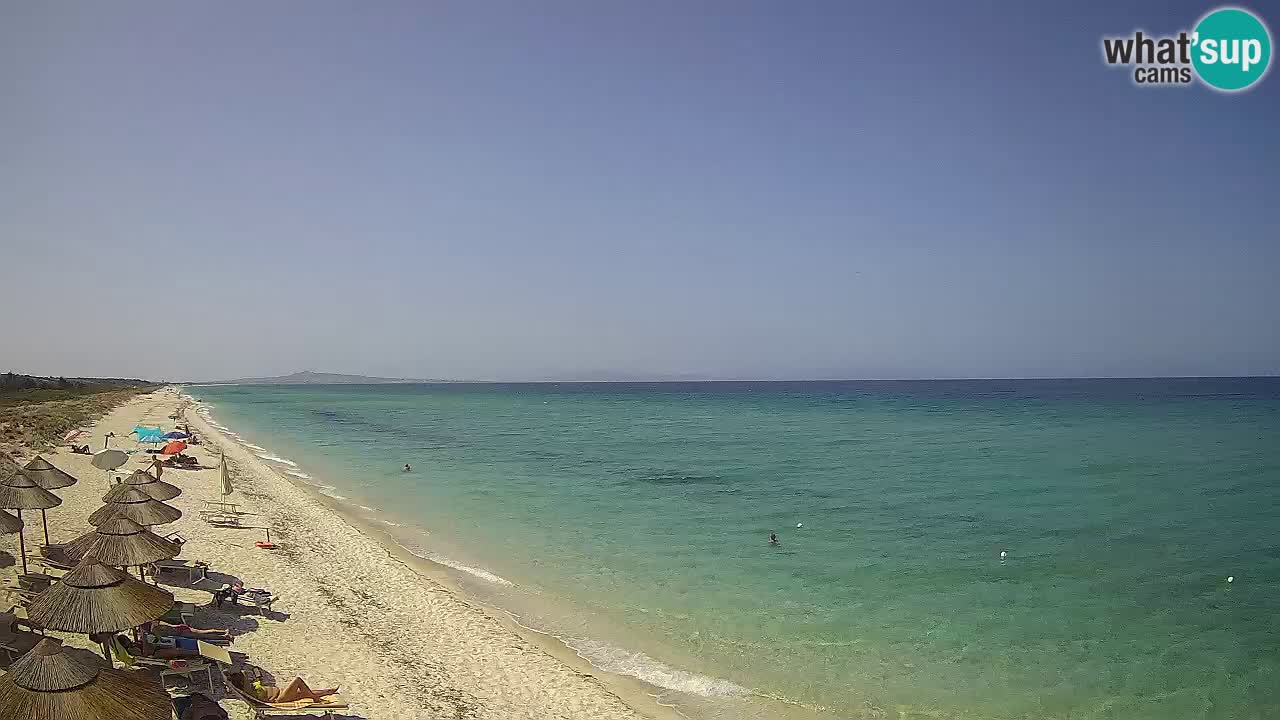 Plaža Le Saline spletna kamera Stintino – Sardinija