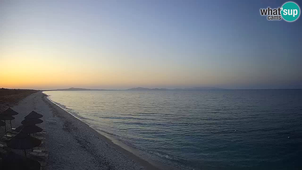 Strand Le Saline webcam Stintino – Sardinien