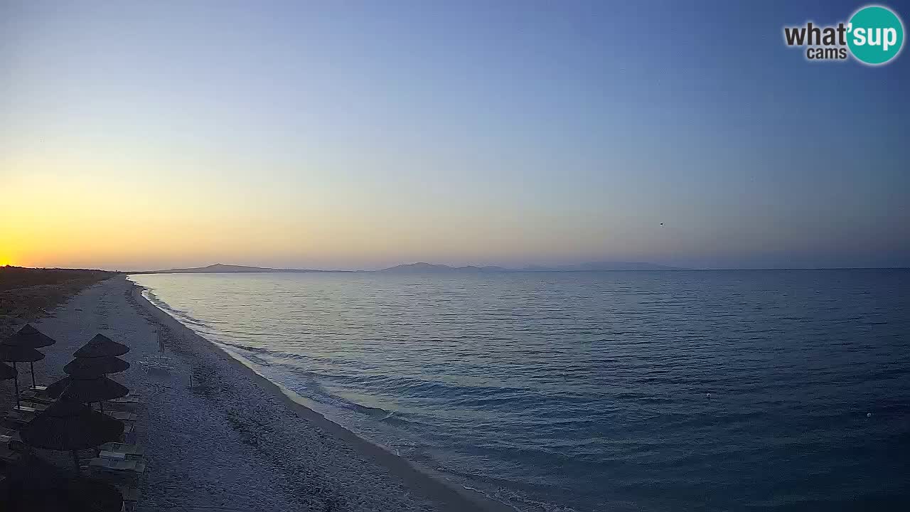 Plaža Le Saline spletna kamera Stintino – Sardinija