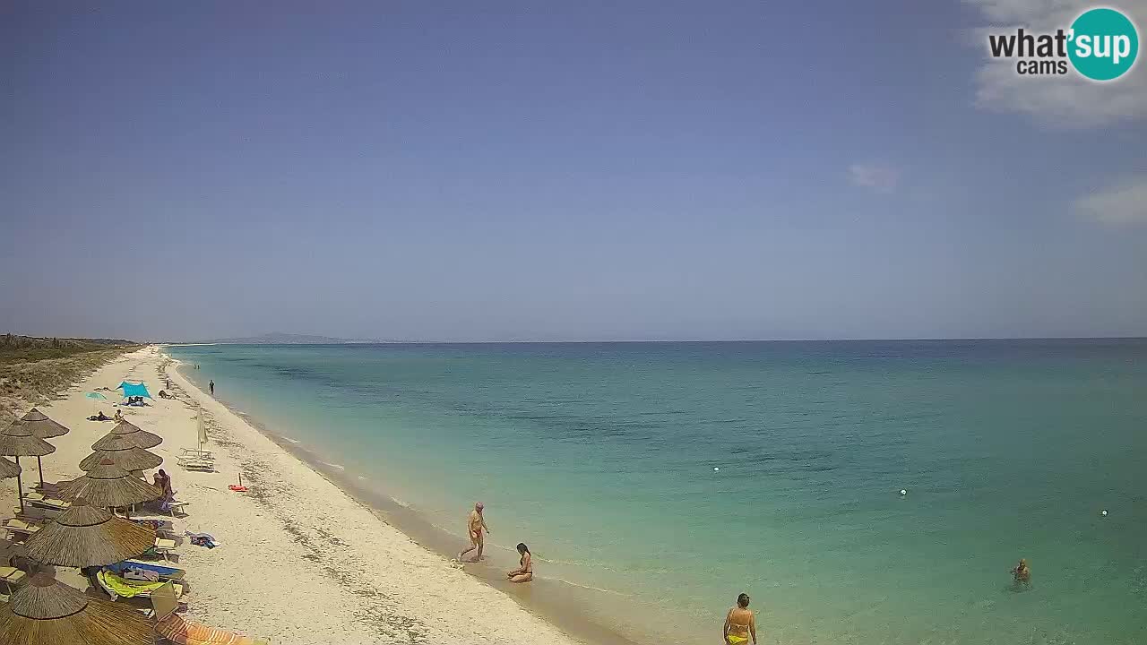 Plage Le Saline Live cam Stintino – Sardaigne