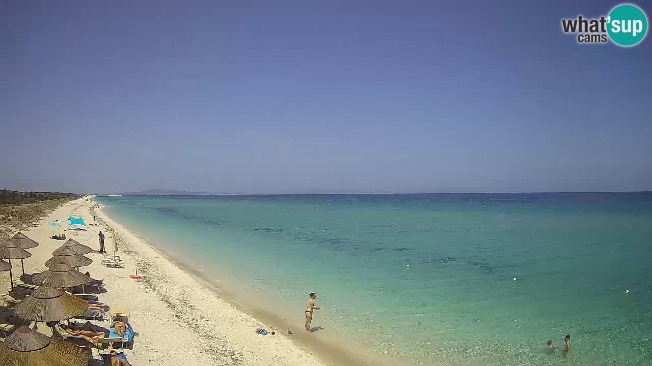 Playa Le Saline camera en vivo Stintino – Cerdeña
