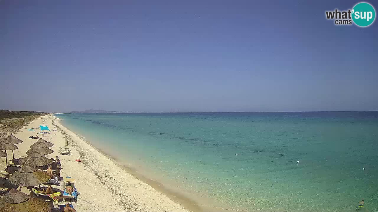 Spiaggia Le Saline webcam Stintino – Sardegna