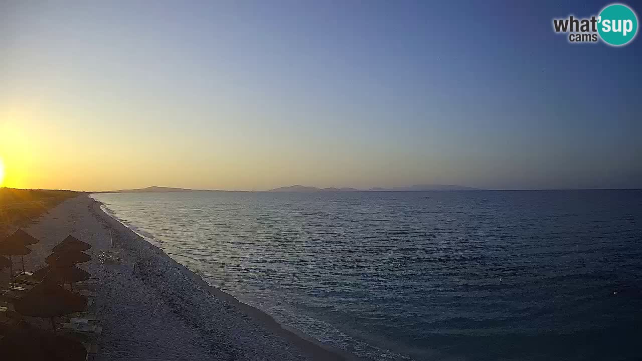 Playa Le Saline camera en vivo Stintino – Cerdeña