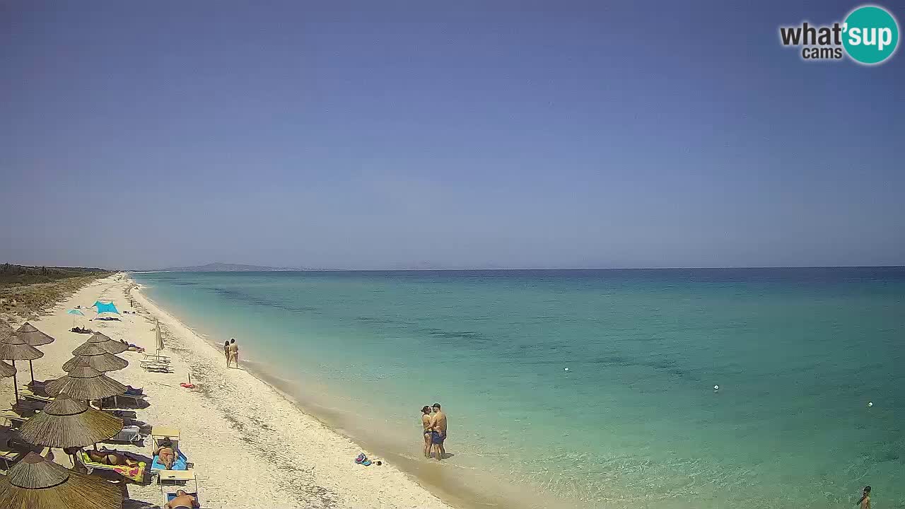 Plaža Le Saline web kamera Stintino – Sardinija