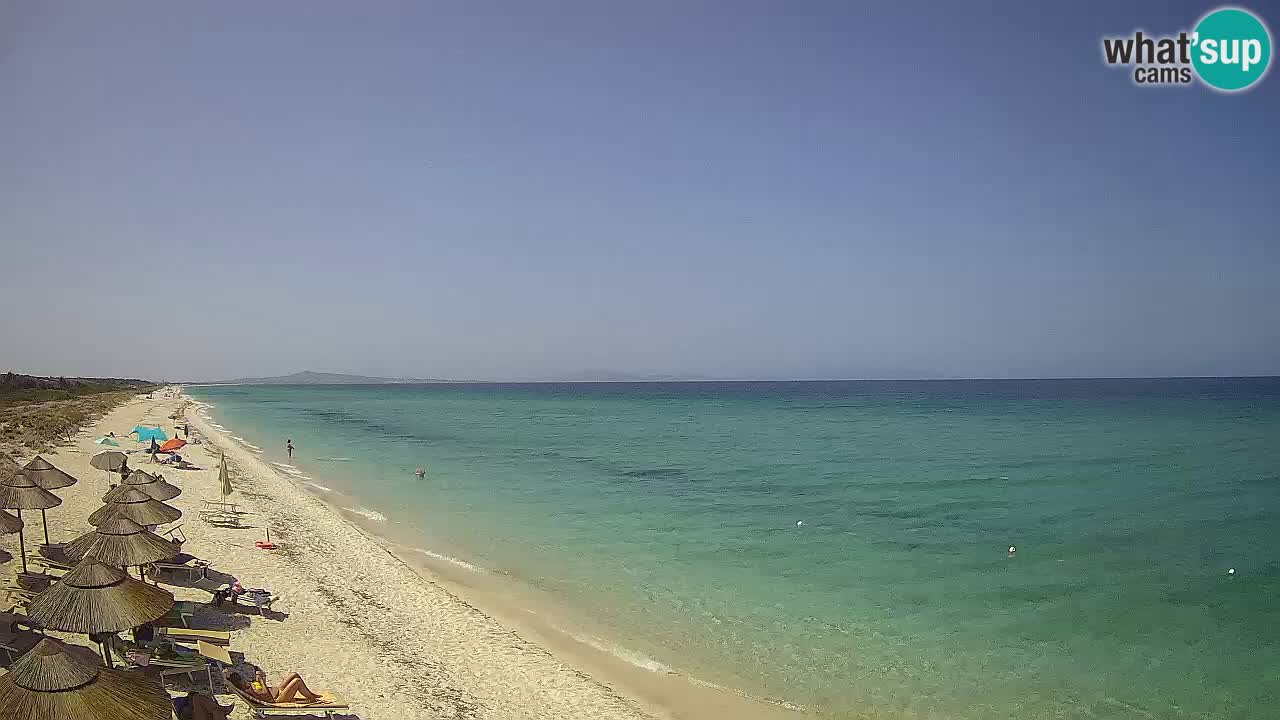 Spiaggia Le Saline webcam Stintino – Sardegna
