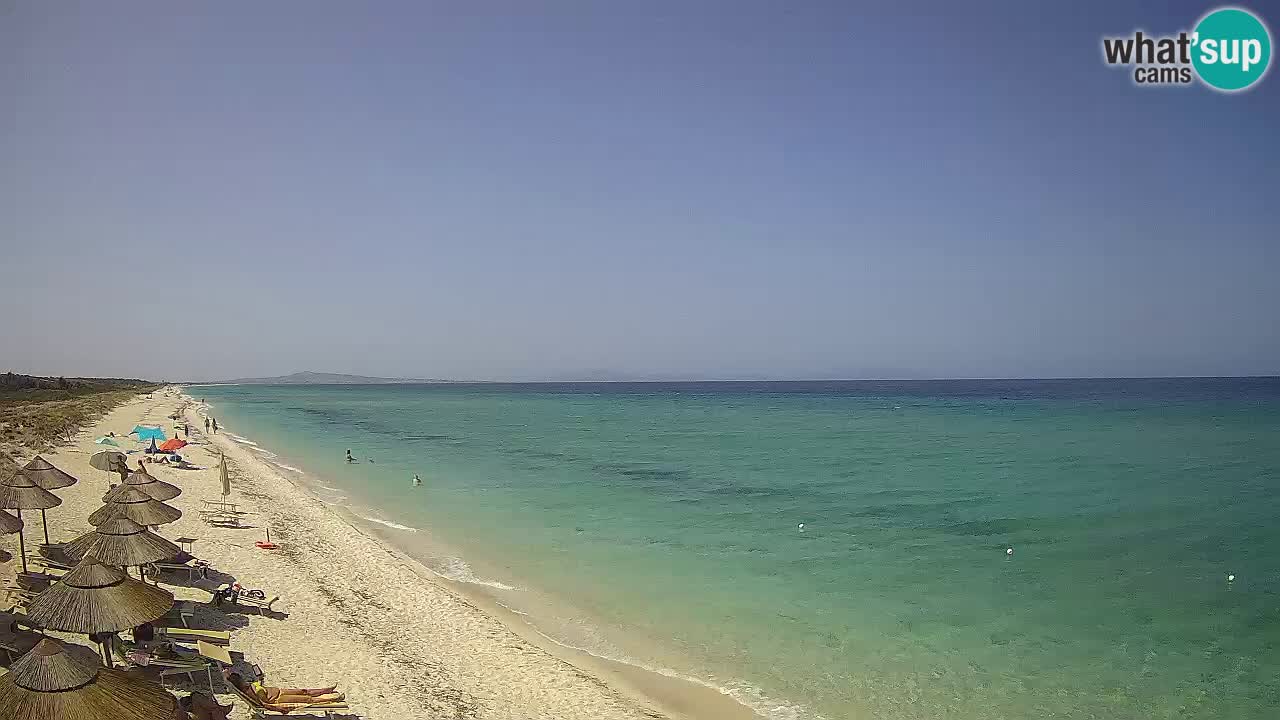Spiaggia Le Saline webcam Stintino – Sardegna