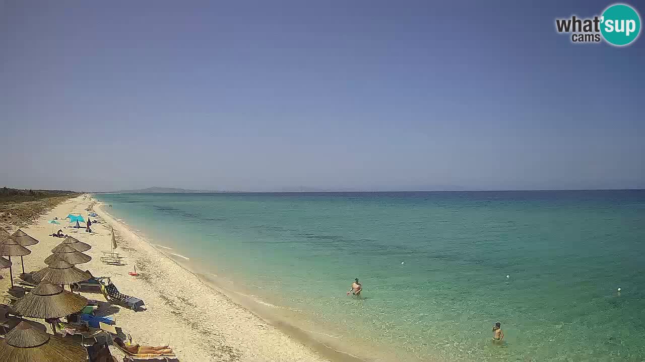 Plaža Le Saline spletna kamera Stintino – Sardinija