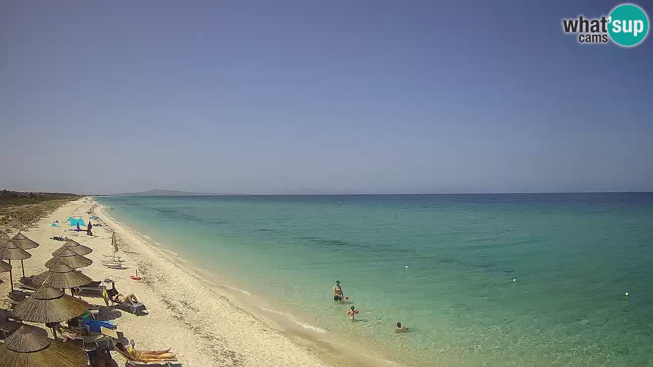 Spiaggia Le Saline webcam Stintino – Sardegna
