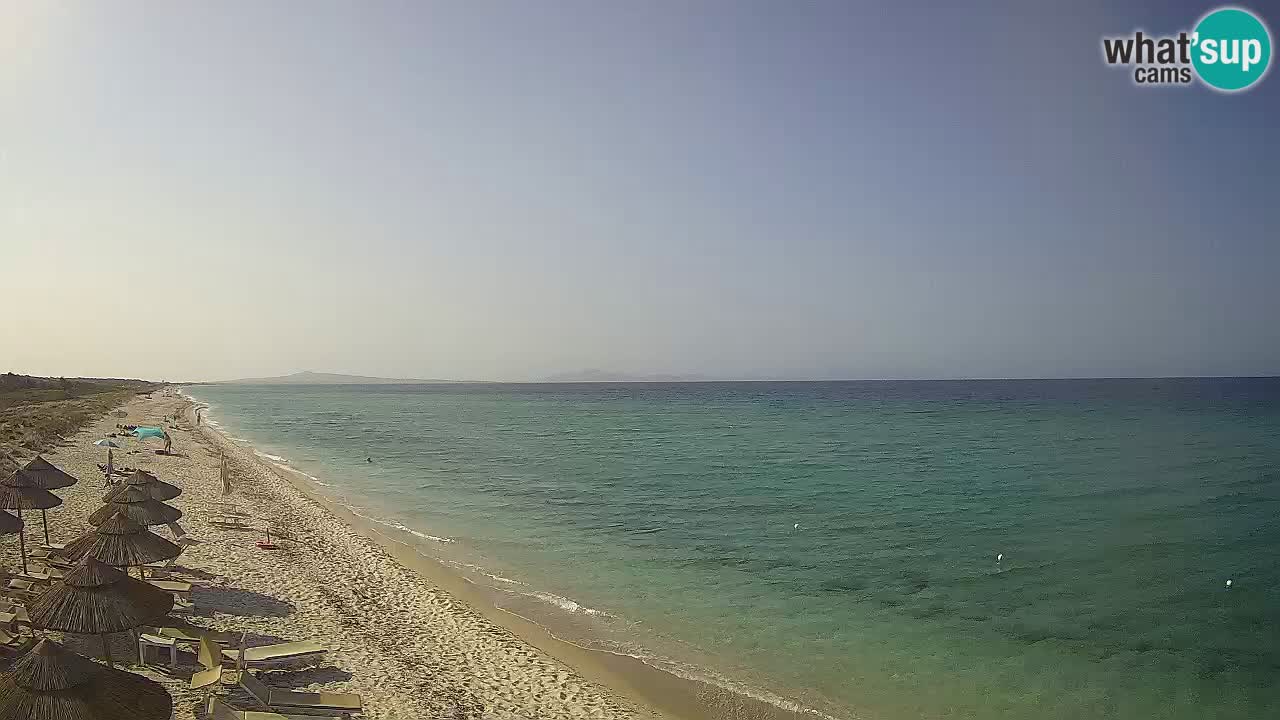 Spiaggia Le Saline webcam Stintino – Sardegna