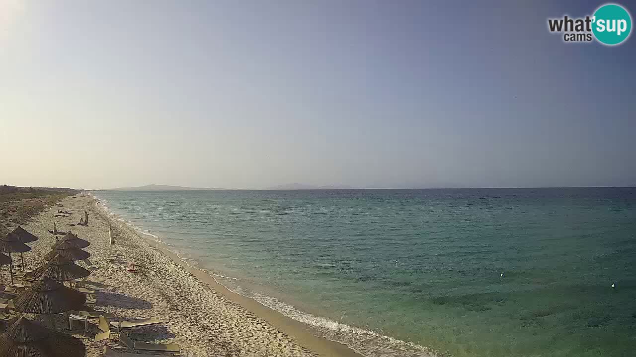 Plaža Le Saline web kamera Stintino – Sardinija