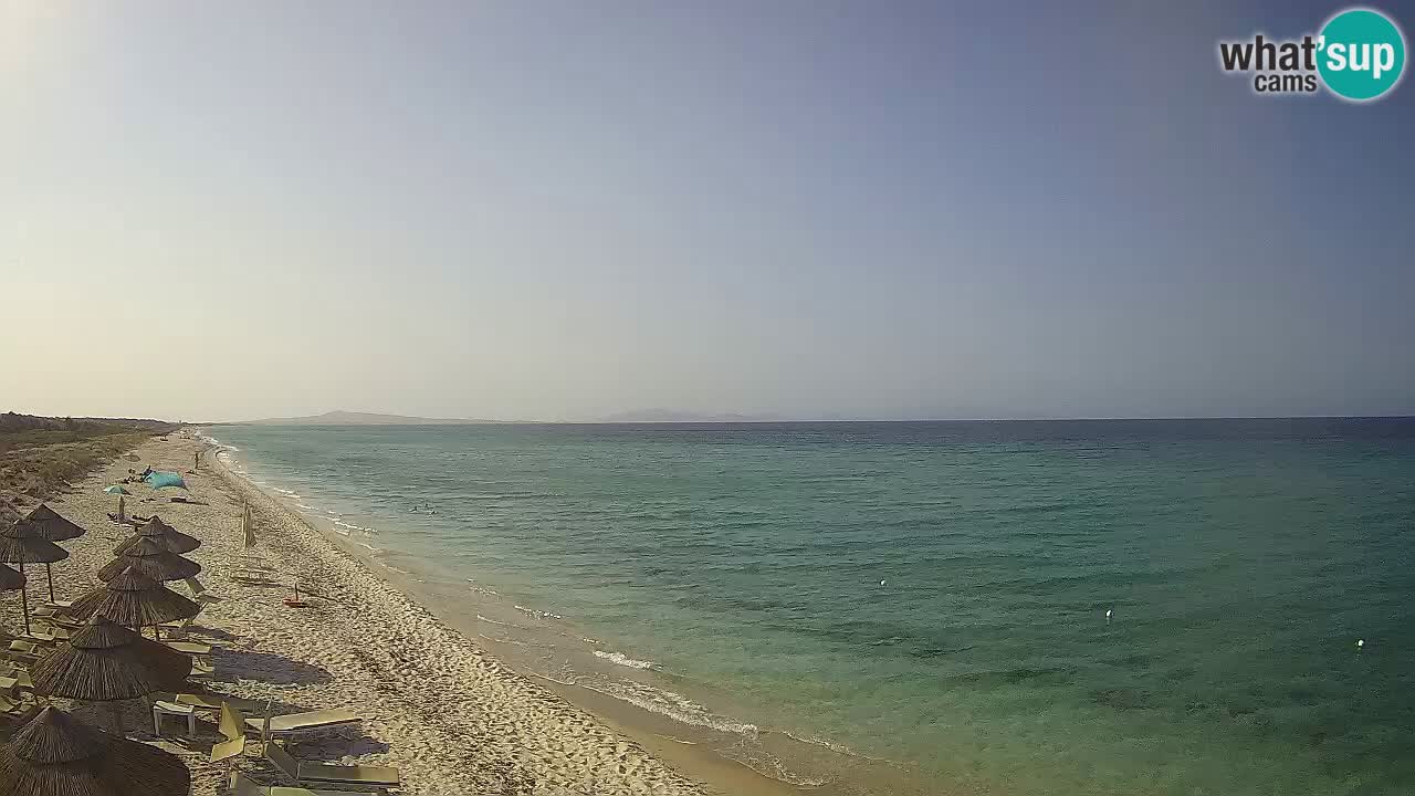 Plage Le Saline Live cam Stintino – Sardaigne