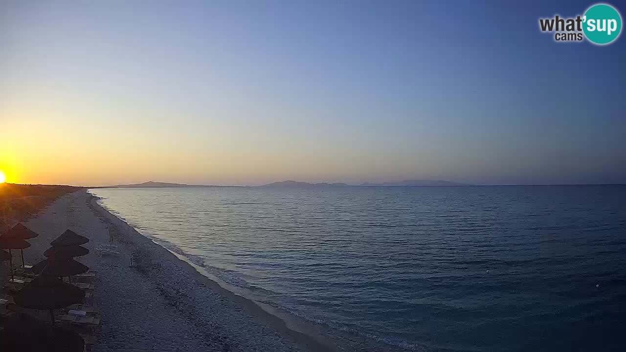 Plaža Le Saline web kamera Stintino – Sardinija