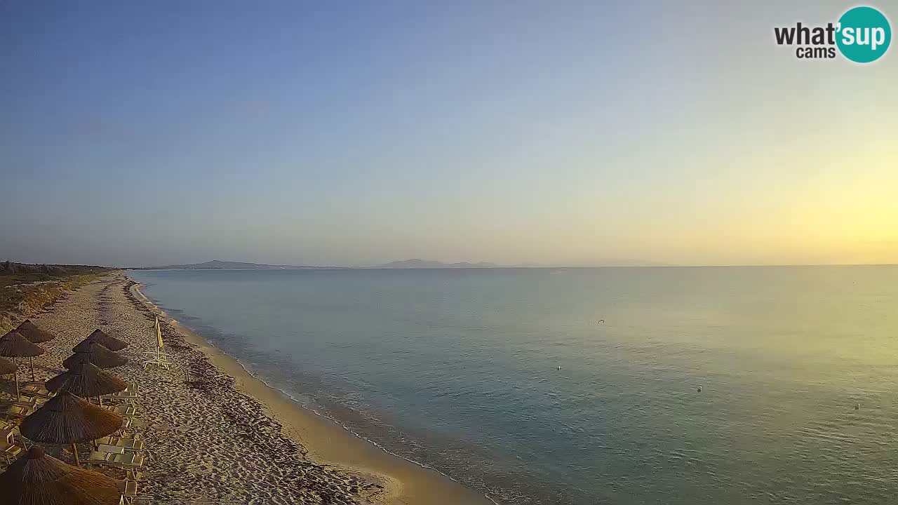 Plage Le Saline Live cam Stintino – Sardaigne
