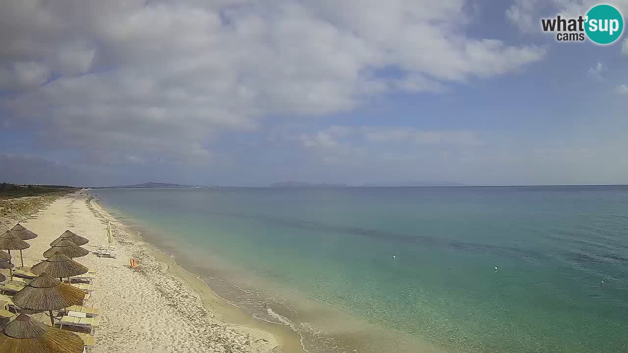 Plage Le Saline Live cam Stintino – Sardaigne