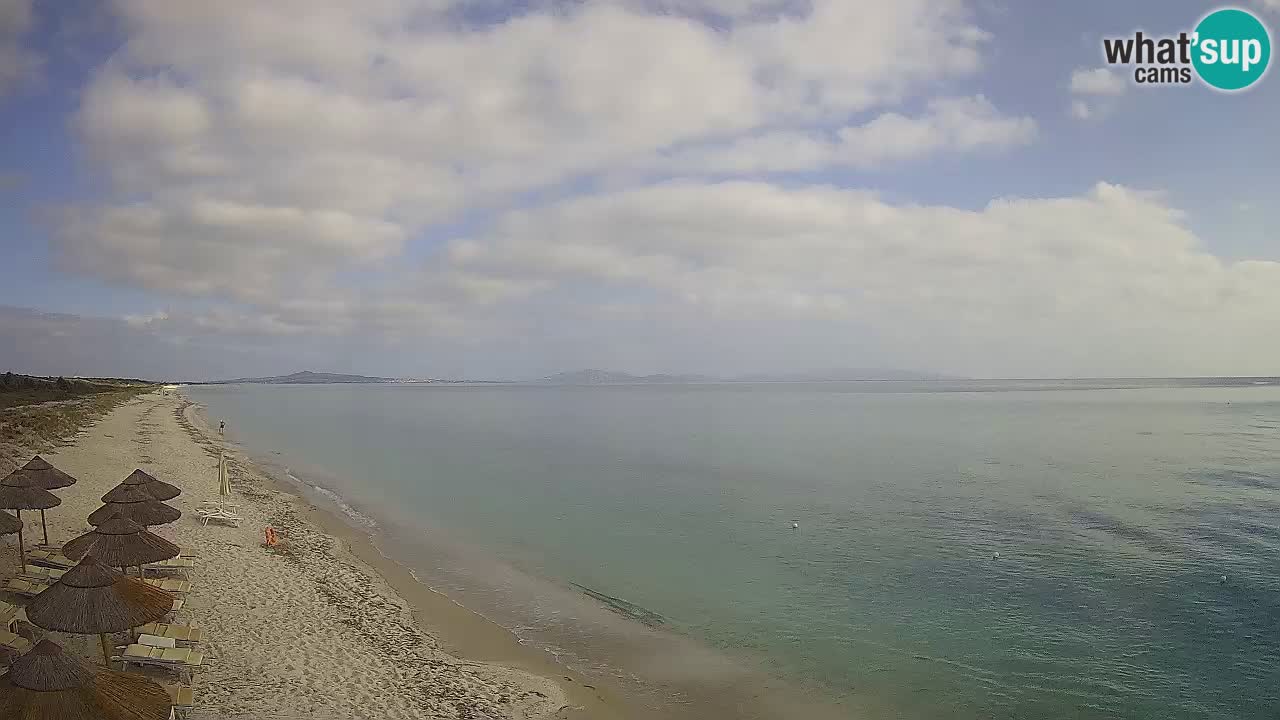 Plaža Le Saline spletna kamera Stintino – Sardinija