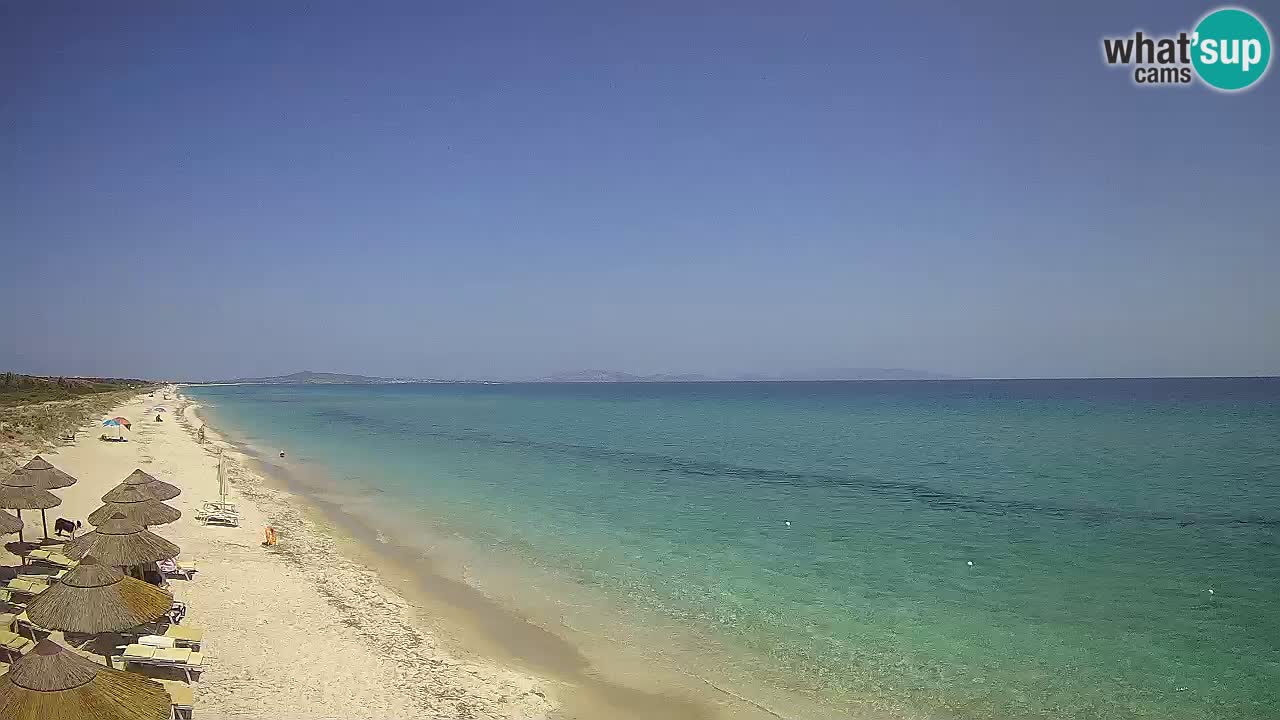 Beach Le Saline webcam live Stintino – Sardinia