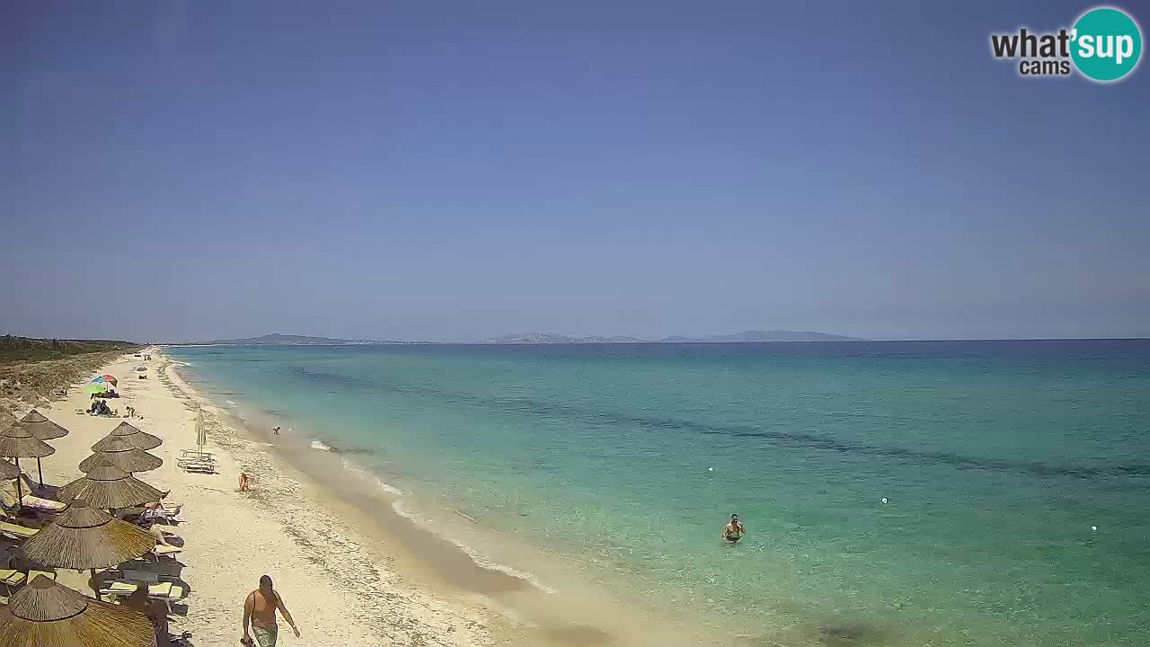 Plaža Le Saline web kamera Stintino – Sardinija