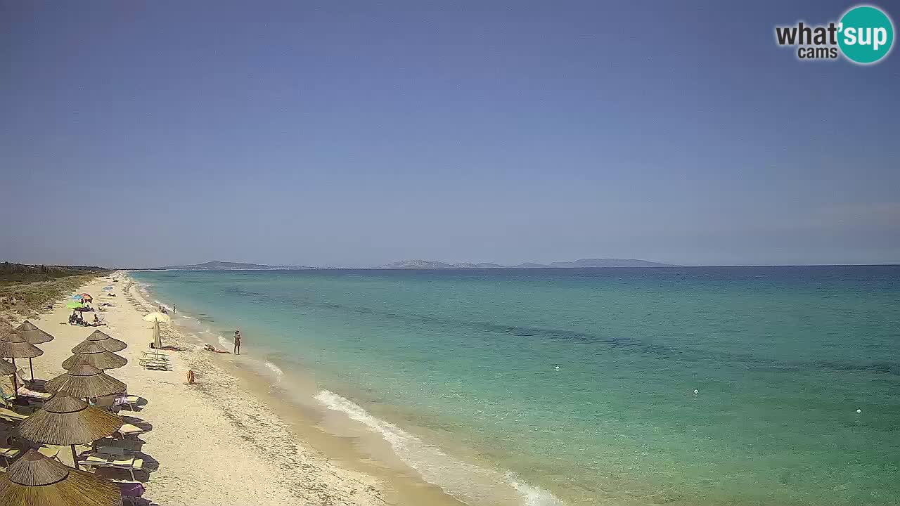 Plage Le Saline Live cam Stintino – Sardaigne