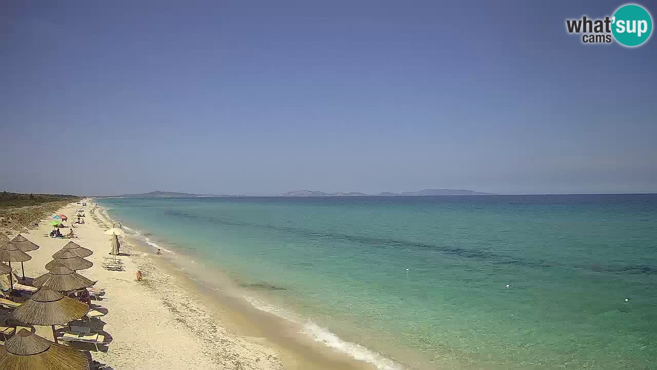 Beach Le Saline webcam live Stintino – Sardinia