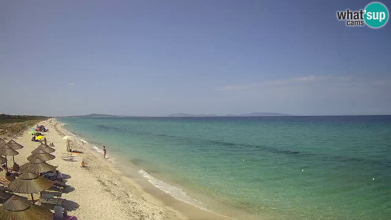Plaža Le Saline web kamera Stintino – Sardinija