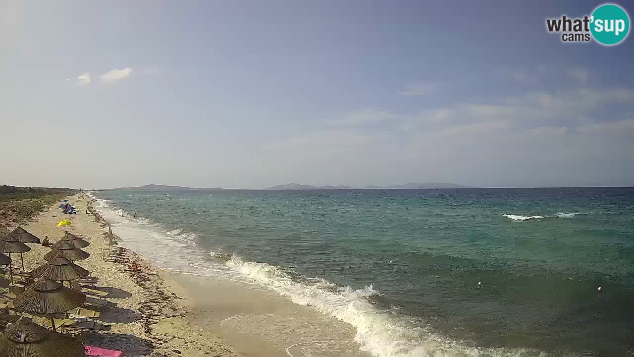 Plaža Le Saline spletna kamera Stintino – Sardinija