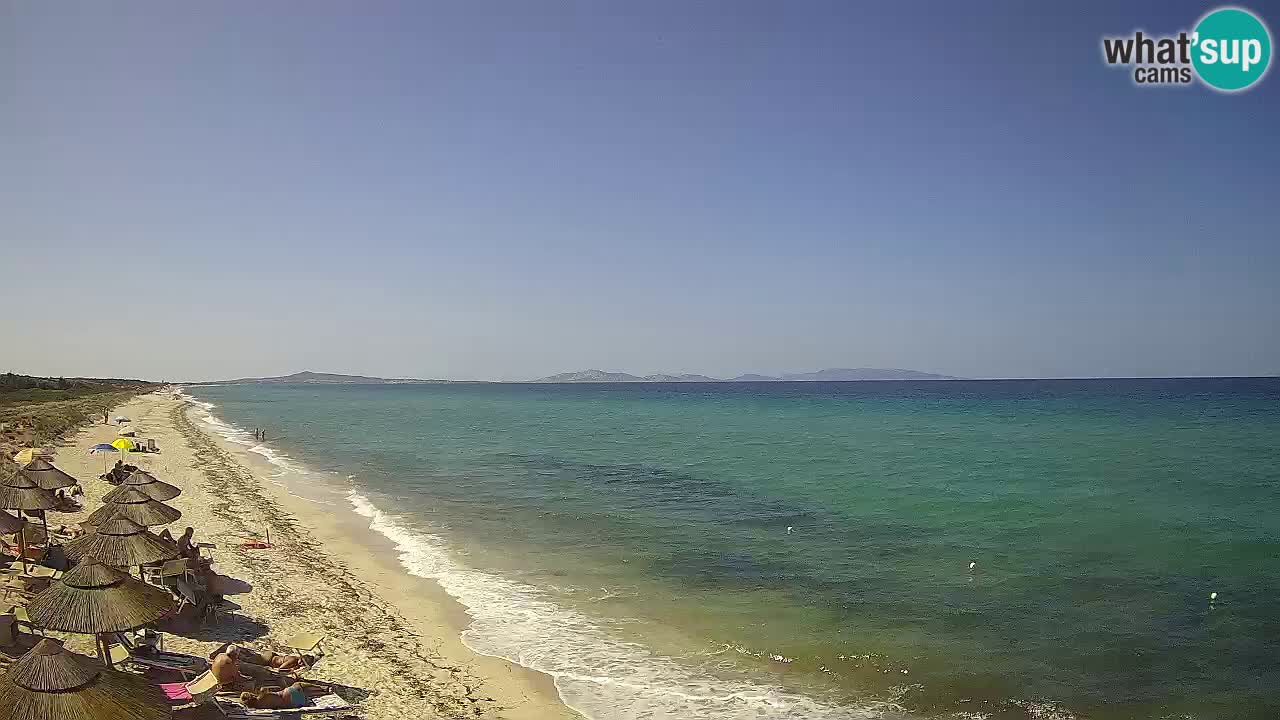 Beach Le Saline webcam live Stintino – Sardinia