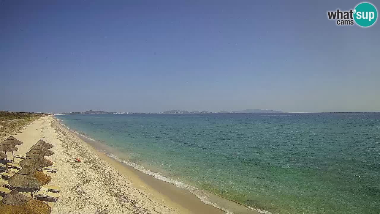 Plaža Le Saline web kamera Stintino – Sardinija