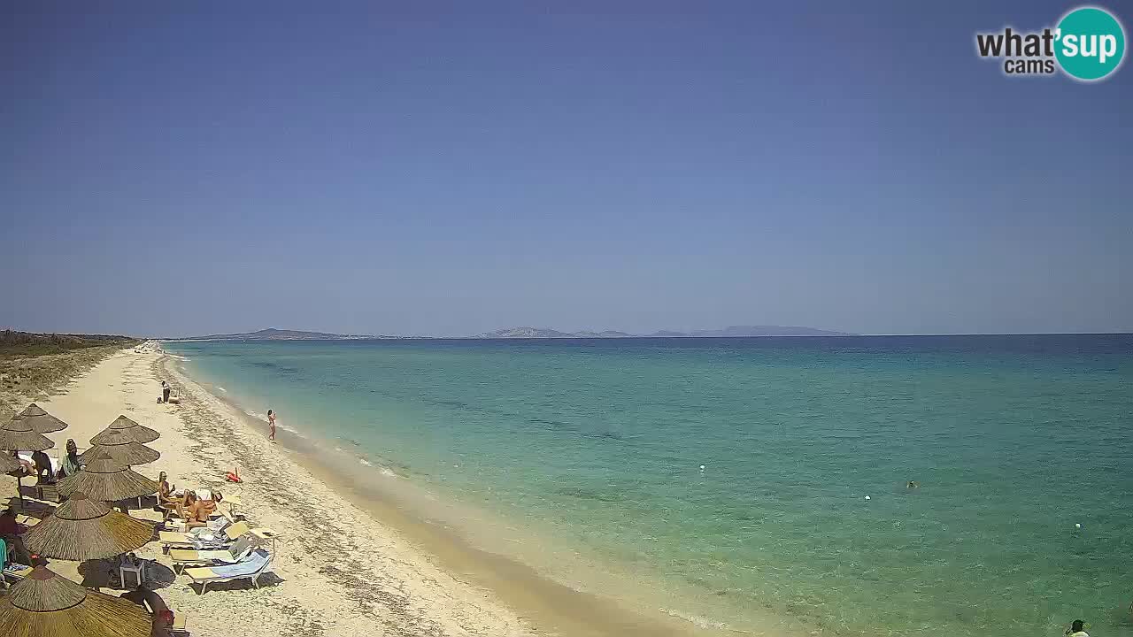 Spiaggia Le Saline webcam Stintino – Sardegna