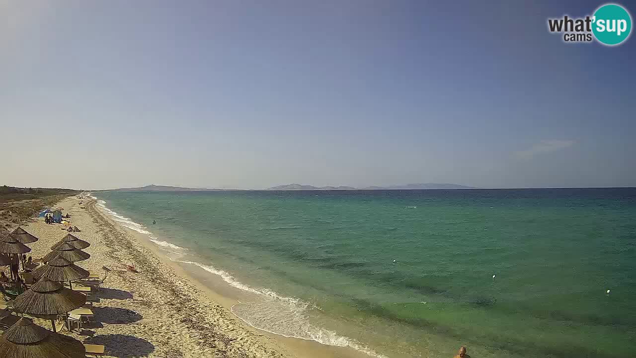 Beach Le Saline webcam live Stintino – Sardinia