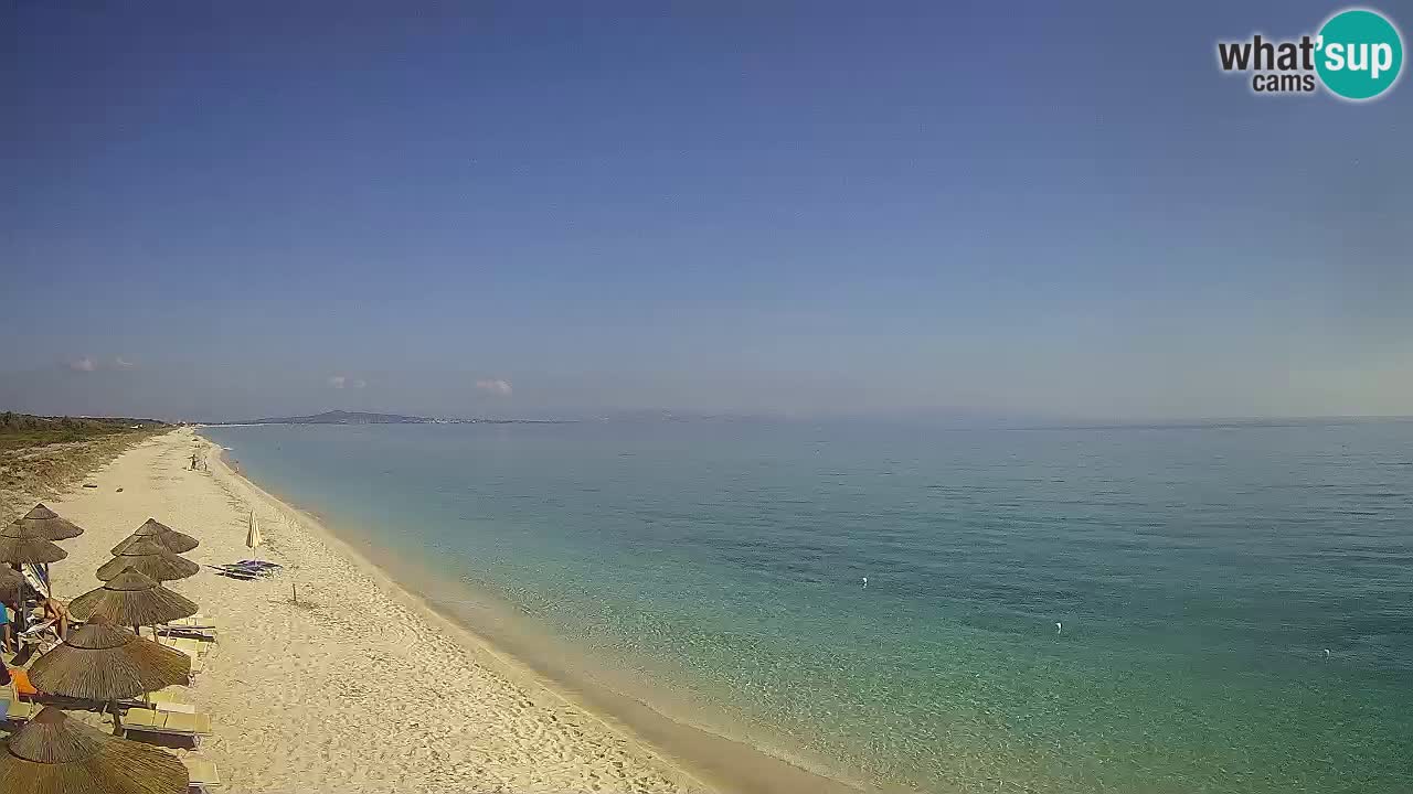 Strand Le Saline webcam Stintino – Sardinien