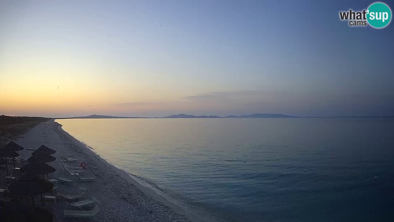 Strand Le Saline webcam Stintino – Sardinien