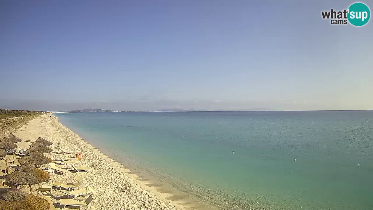 Beach Le Saline webcam live Stintino – Sardinia