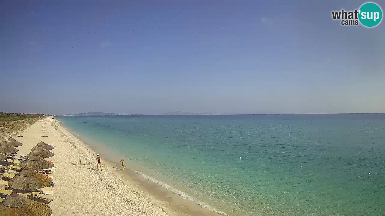 Beach Le Saline webcam live Stintino – Sardinia