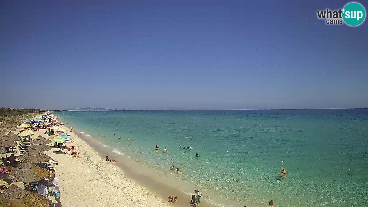 Strand Le Saline webcam Stintino – Sardinien