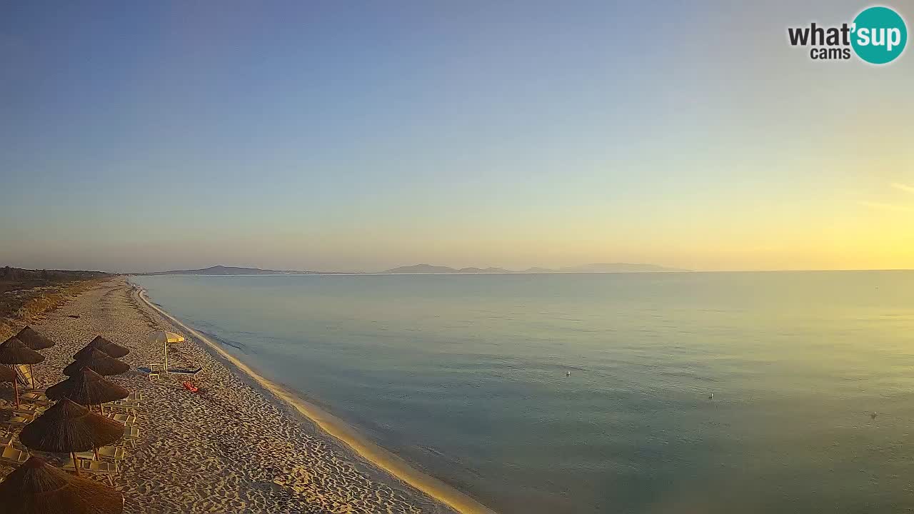 Beach Le Saline webcam live Stintino – Sardinia