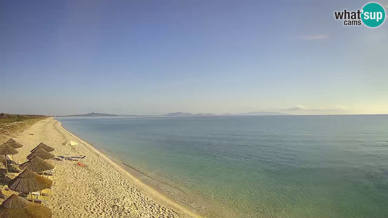 Strand Le Saline webcam Stintino – Sardinien