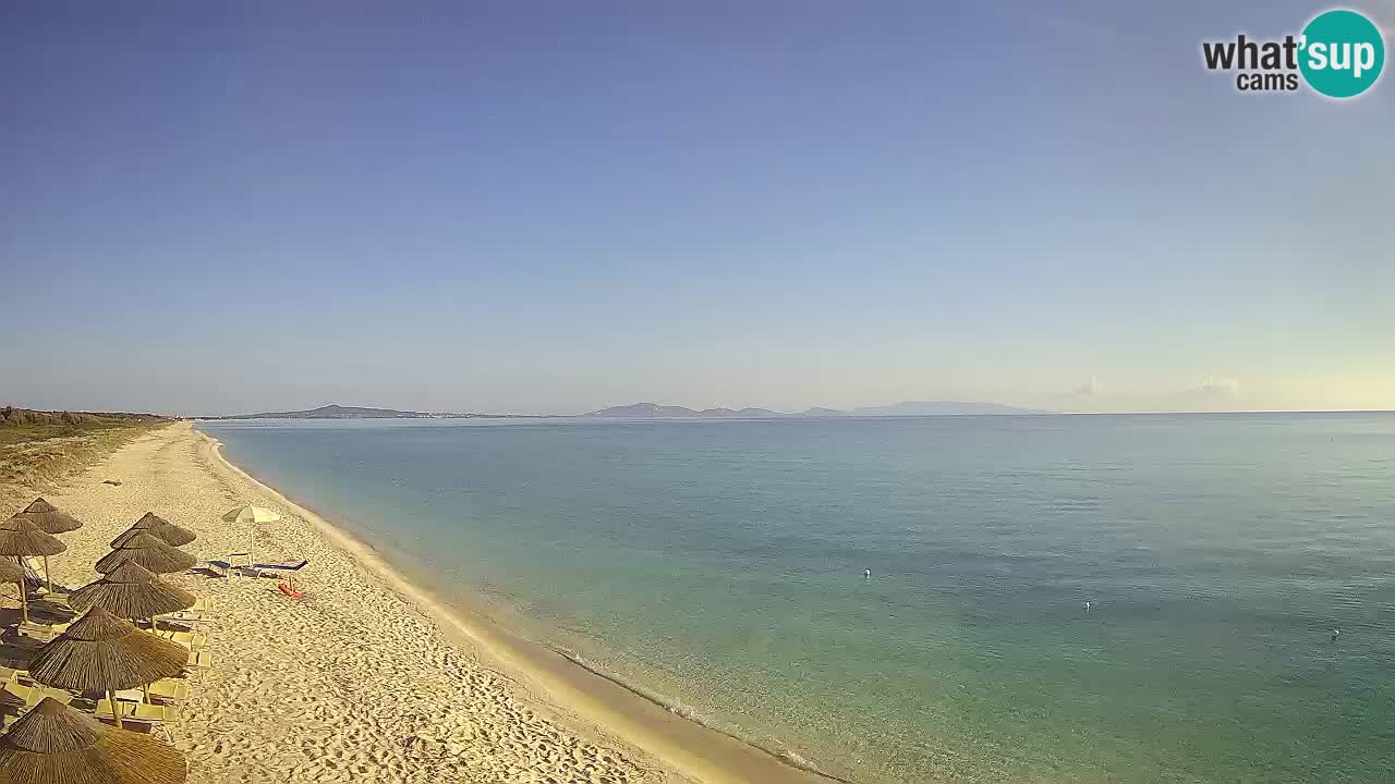 Plaža Le Saline spletna kamera Stintino – Sardinija