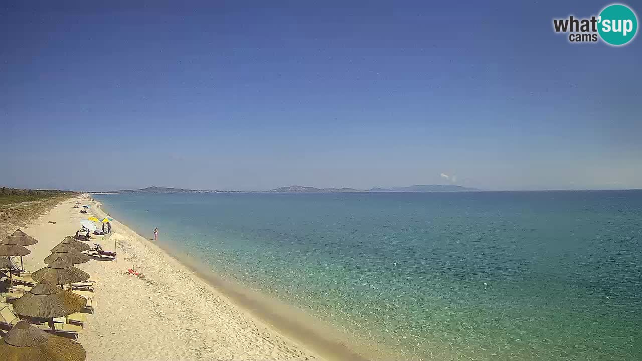 Plaža Le Saline web kamera Stintino – Sardinija