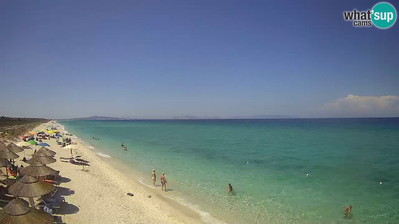 Beach Le Saline webcam live Stintino – Sardinia