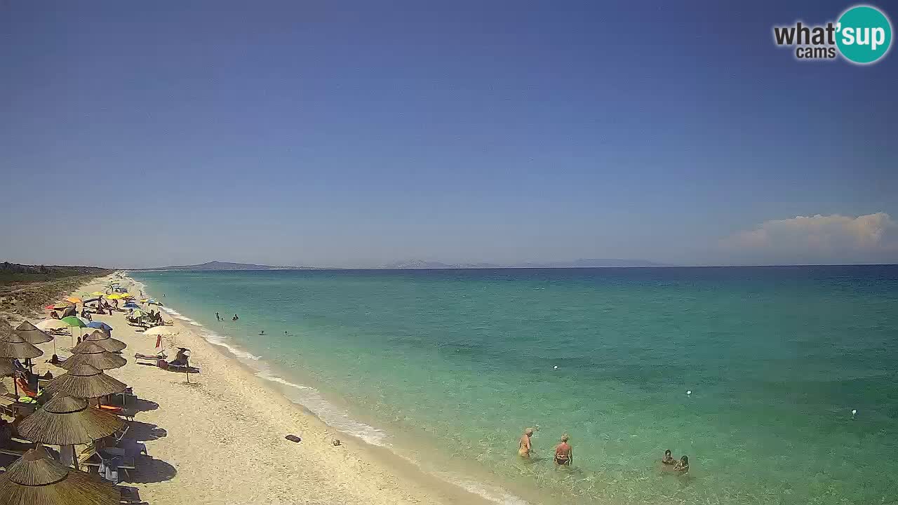 Plaža Le Saline spletna kamera Stintino – Sardinija