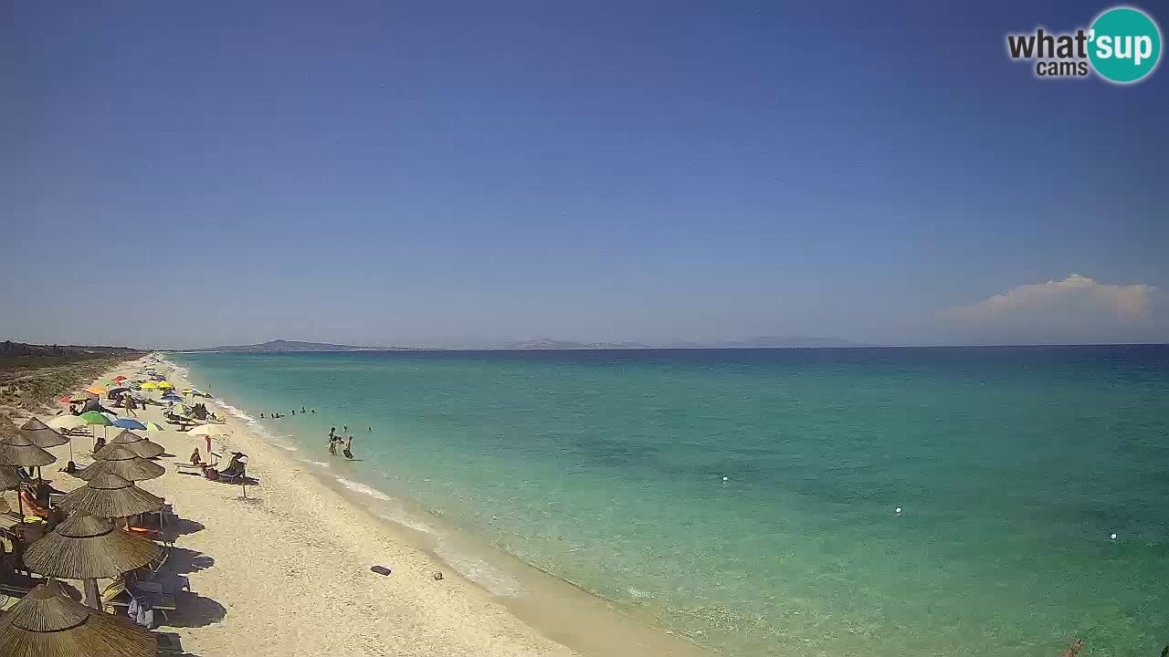 Playa Le Saline camera en vivo Stintino – Cerdeña