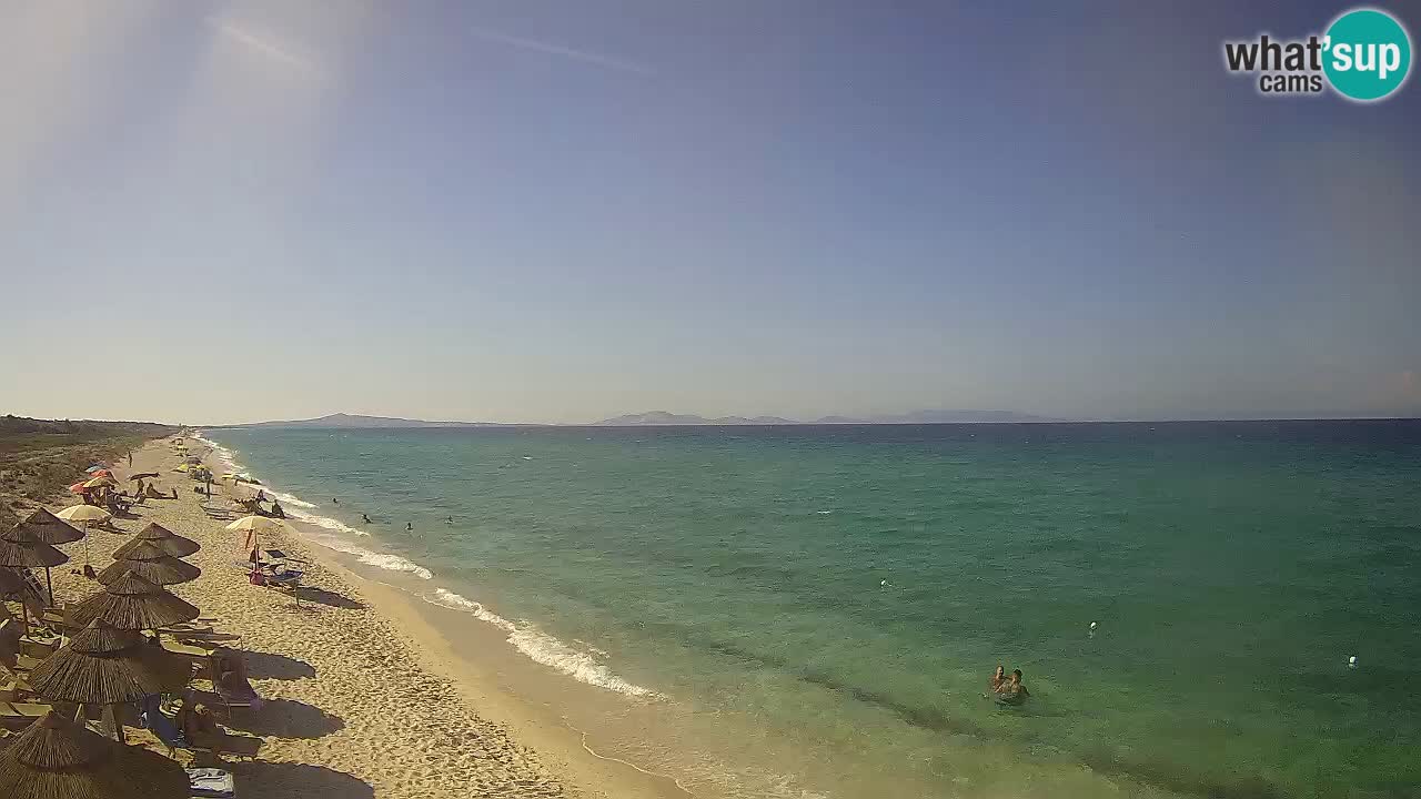 Plaža Le Saline web kamera Stintino – Sardinija