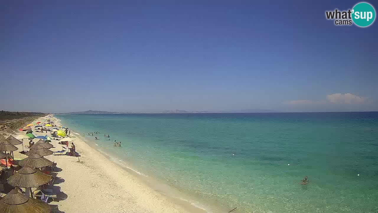 Plage Le Saline Live cam Stintino – Sardaigne