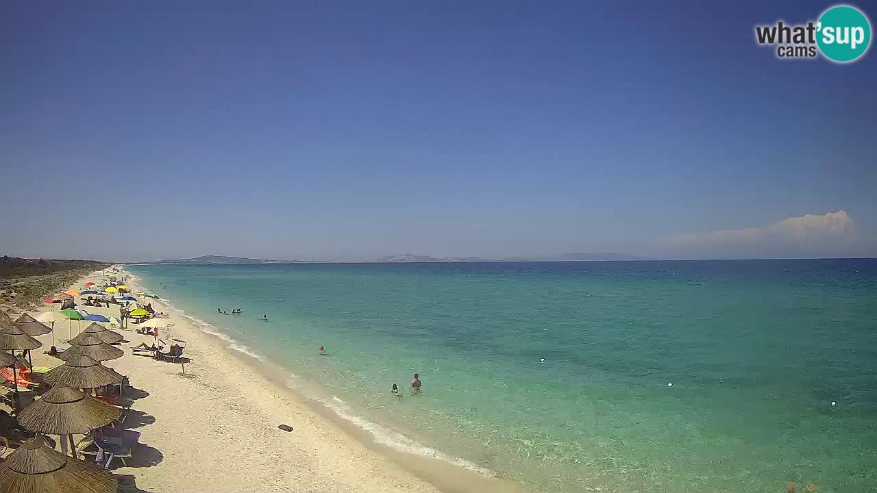 Strand Le Saline webcam Stintino – Sardinien