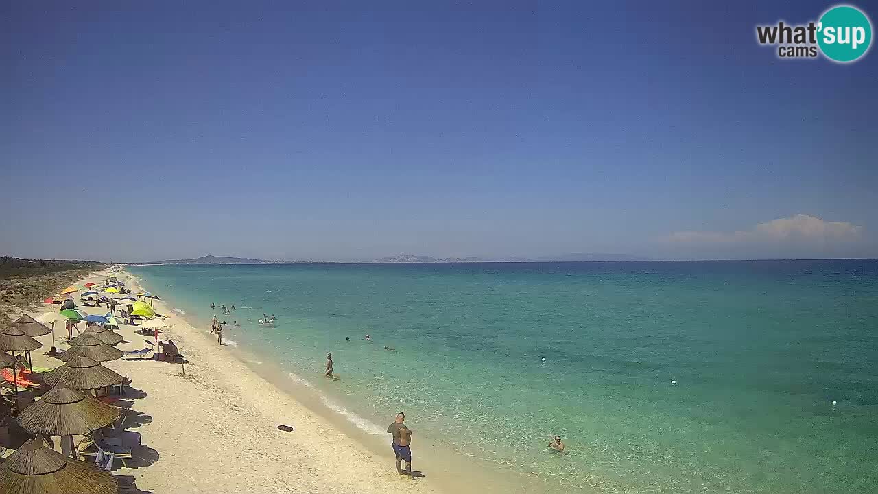 Beach Le Saline webcam live Stintino – Sardinia