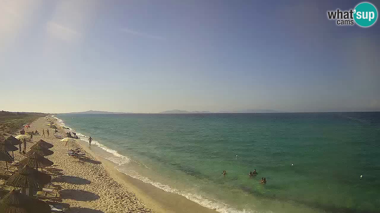 Plage Le Saline Live cam Stintino – Sardaigne
