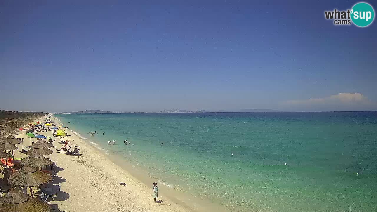 Plaža Le Saline spletna kamera Stintino – Sardinija