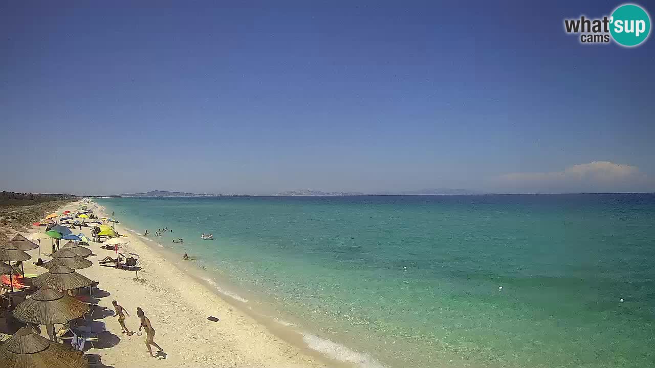 Spiaggia Le Saline webcam Stintino – Sardegna