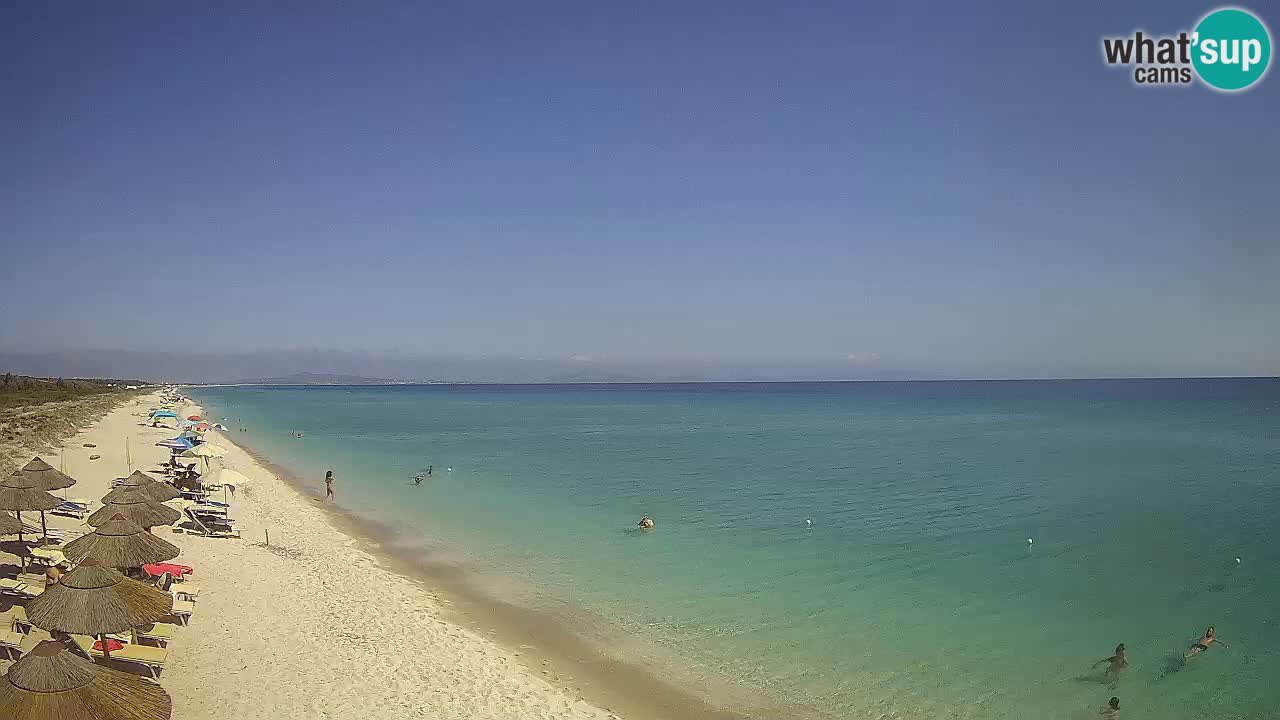 Plaža Le Saline web kamera Stintino – Sardinija
