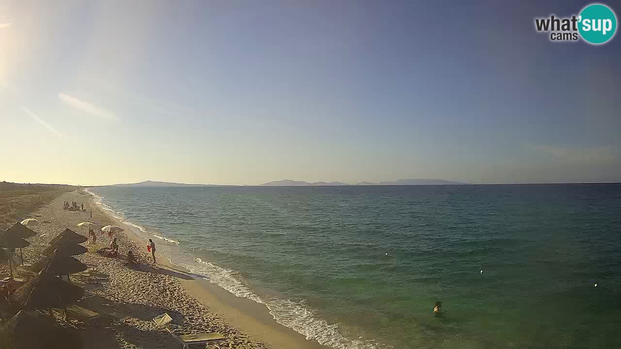 Beach Le Saline webcam live Stintino – Sardinia